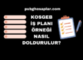 KOSGEB İş Planı Örneği Nasıl Doldurulur