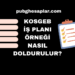KOSGEB İş Planı Örneği Nasıl Doldurulur
