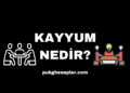 Kayyum Nedir ve Kayyum Ataması Nasıl Yapılır