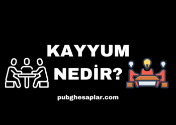 Kayyum Nedir ve Kayyum Ataması Nasıl Yapılır