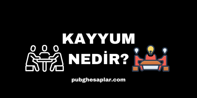 Kayyum Nedir ve Kayyum Ataması Nasıl Yapılır