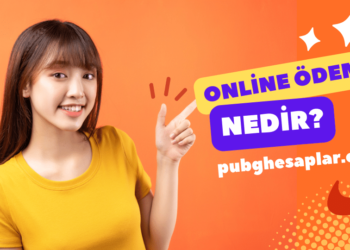 Online Ödeme Nedir