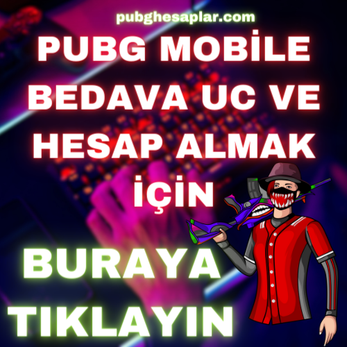 Pubg Hesap
